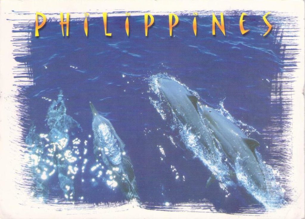 Spinner Dolphins (Philippines)