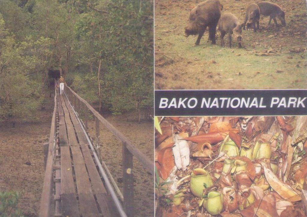 Bako National Park (Sarawak, East Malaysia)