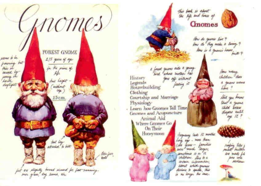 Gnomes (Netherlands)