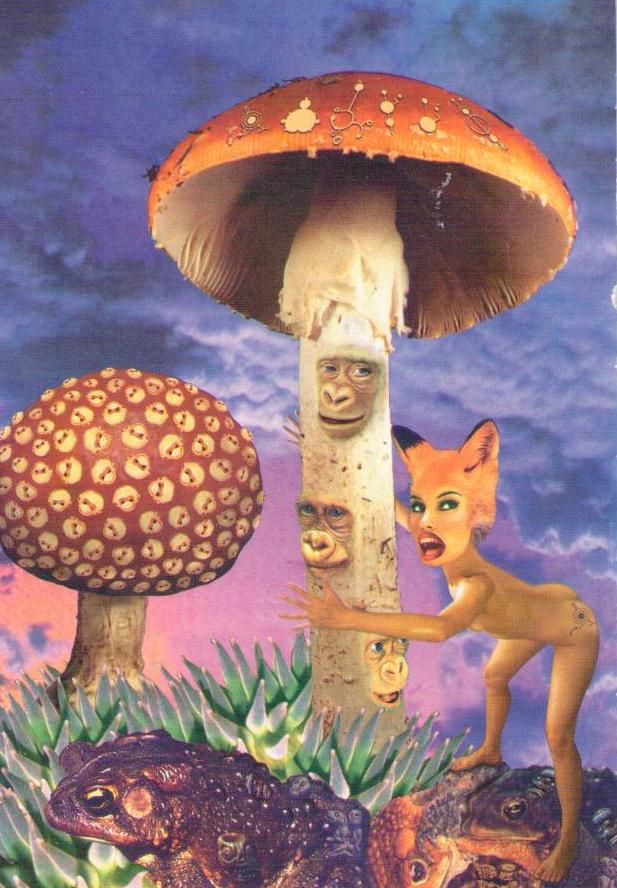 Shroombaya, 1994 (D. Jones)