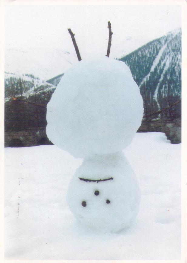 Upside Down Snowman (D. Shrigley)