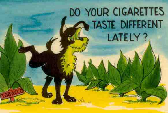 Do your cigarettes taste different?