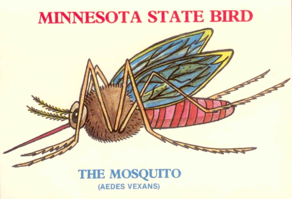 Minnesota state bird