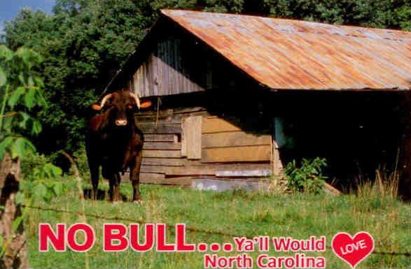 No Bull (North Carolina)
