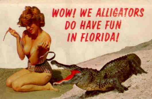 Wow!  We alligators do have fun in Florida!
