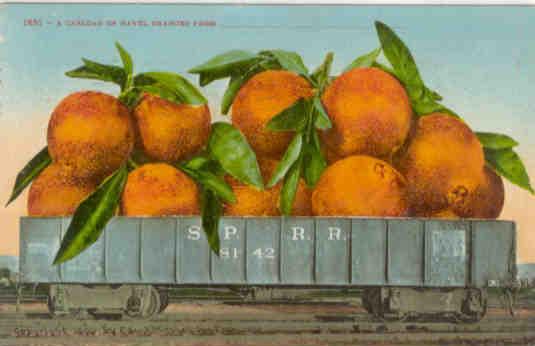 A carload of navel oranges from __________
