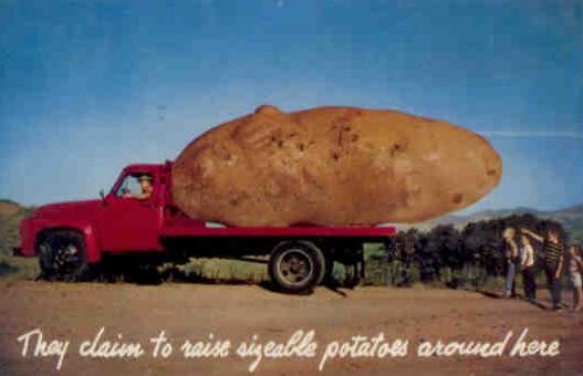 They claim to raise sizeable potatoes around here (USA)