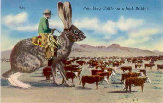 Punching Cattle on a Jack Rabbit (USA)