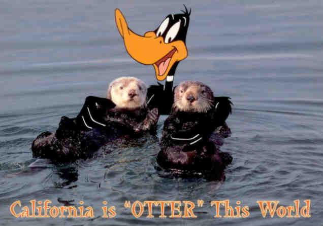 California is “Otter” This World