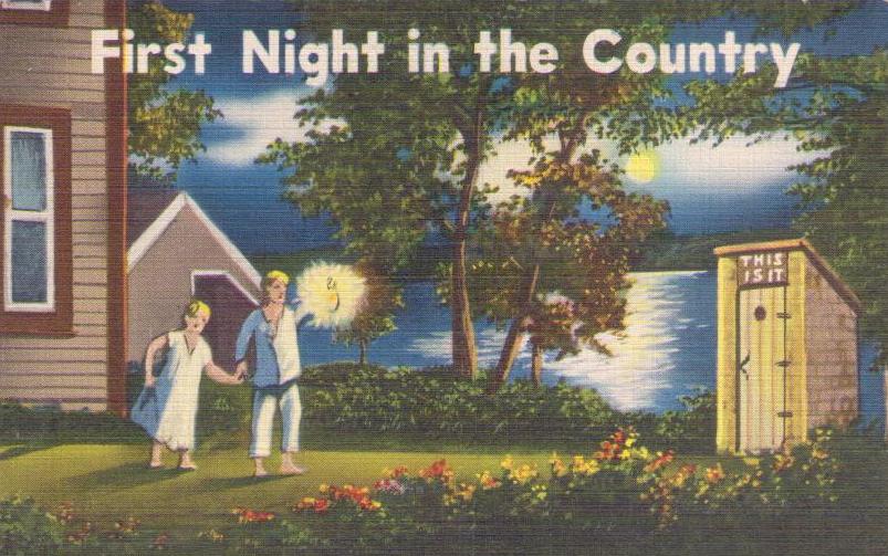 First Night in the Country (63868)