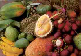 Malaysian fruits
