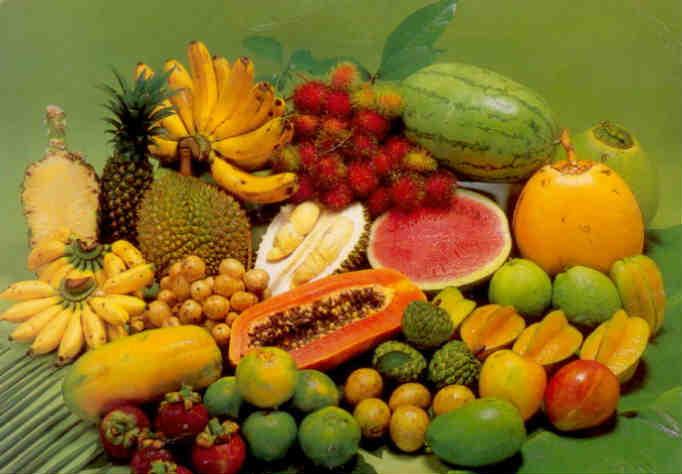 Malaysian fruits, large card