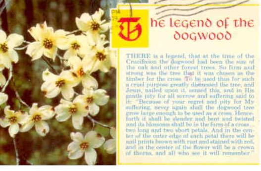 Legend of the Dogwood