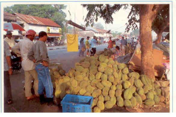 Durian vendors (Malaysia)
