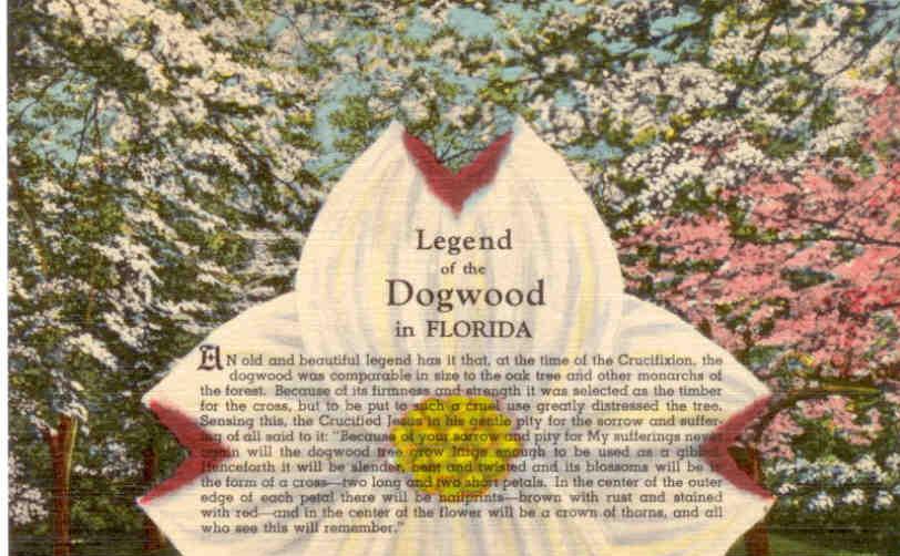 Legend of the Dogwood (Florida)