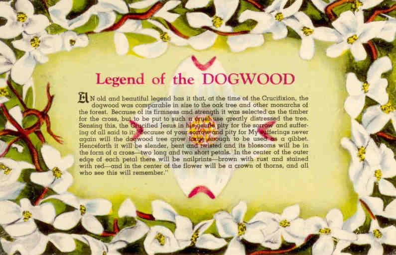 Legend of the Dogwood (USA)