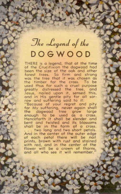 The Legend of the Dogwood 82574