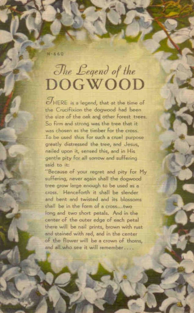 The Legend of the Dogwood N-660
