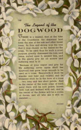 The Legend of the Dogwood 148