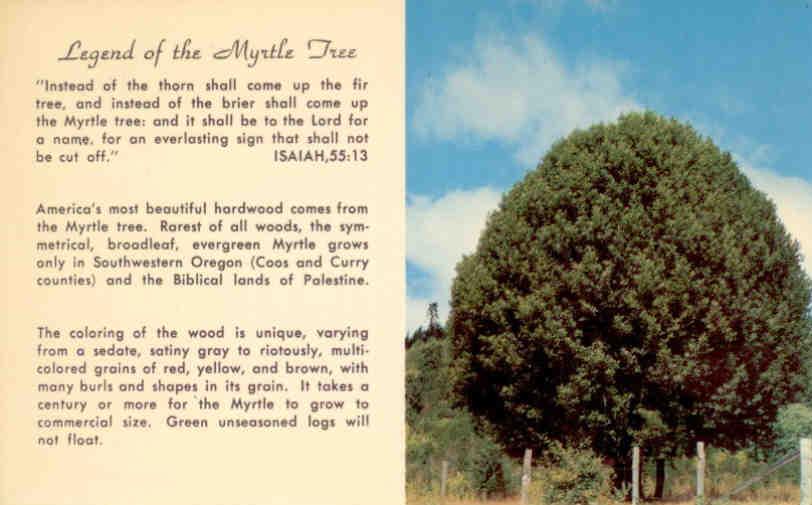 Legend of the Myrtle Tree