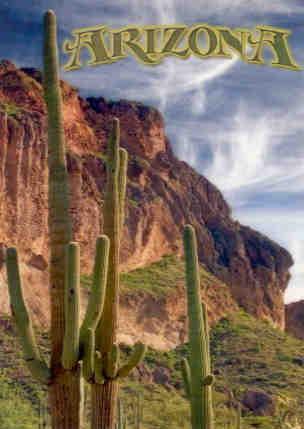 Saguaro cactus (Arizona)