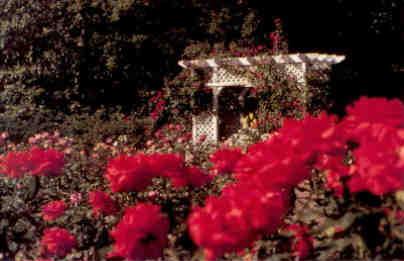 The Rose Garden, Bellingrath Gardens & Home, Mobile (Alabama, USA)