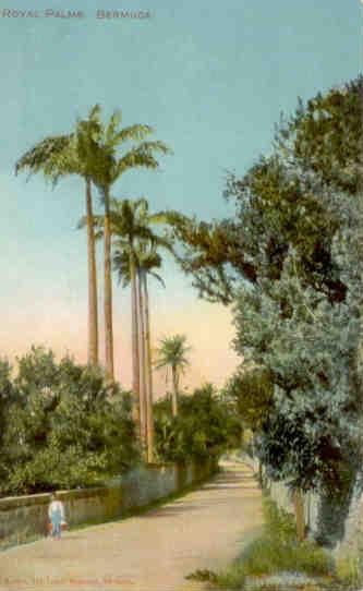 Royal Palms (Bermuda)