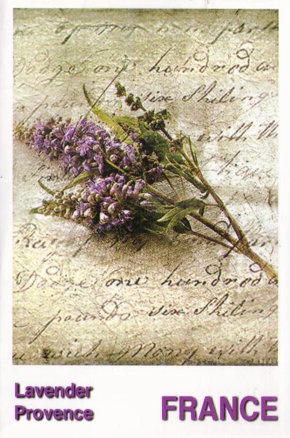 Provence, Lavender (set) – front cover (France)