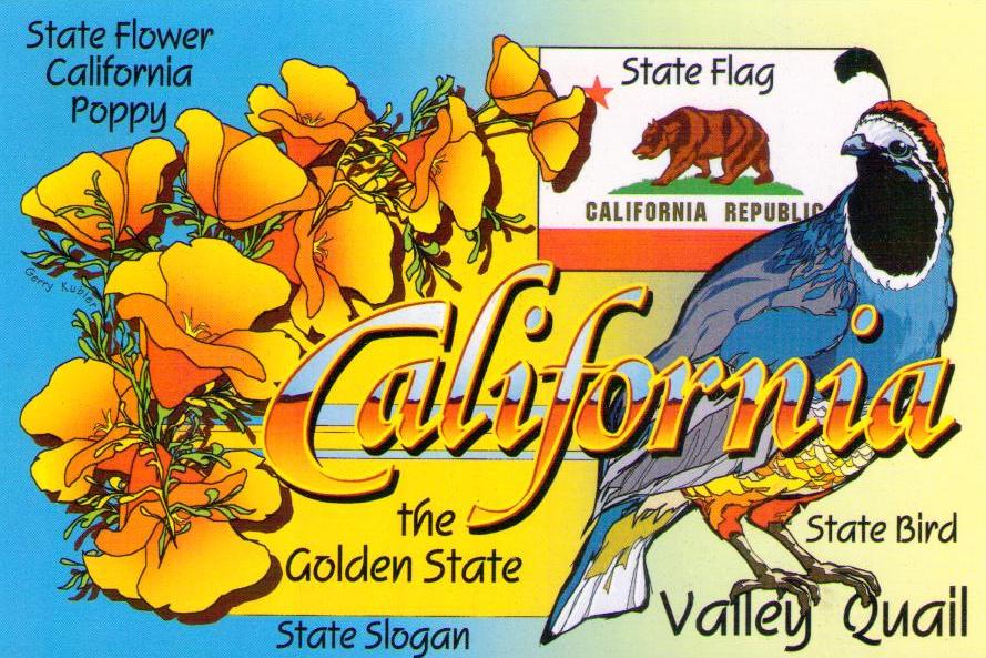 California the Golden State (California Poppy)