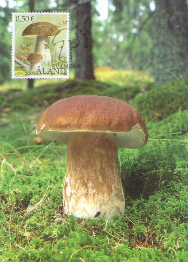 Aland, King Bolete (Maximum Card no. 44) (Finland)