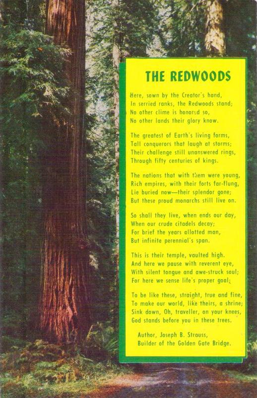Poem of the Redwoods