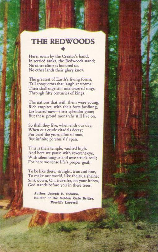 The Redwoods (USA)