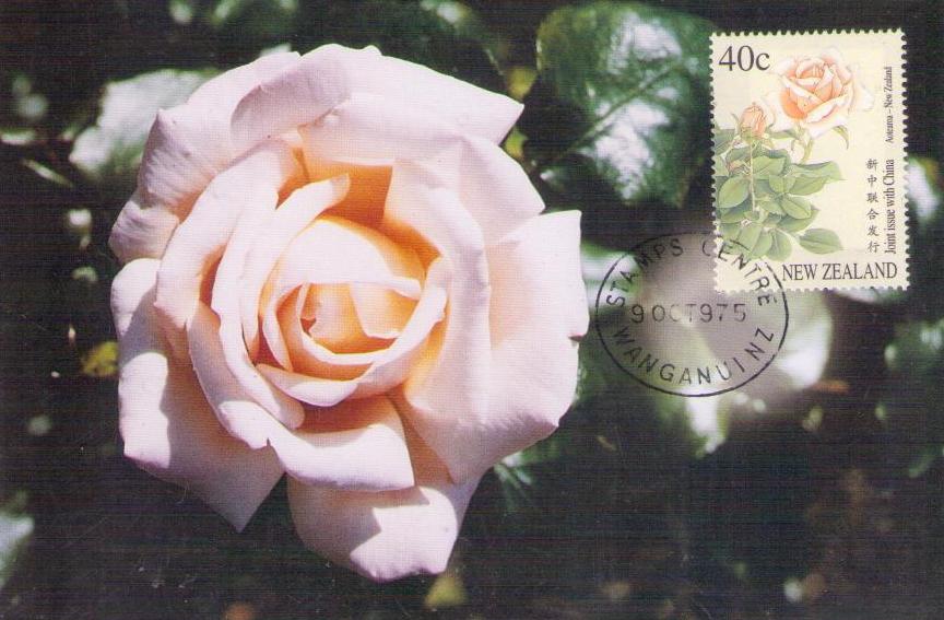 New Zealand Monthly Rose (joint New Zealand/PRC issue) (Maximum Card)