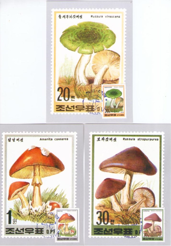 Mushrooms (set of three) (Maximum Cards) (DPR Korea)