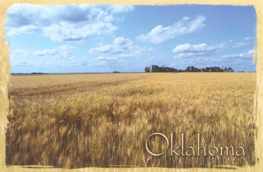Wheat (Oklahoma, USA)