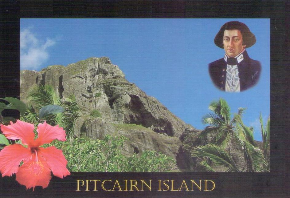 Multiple views – Hibiscus (Pitcairn Island)