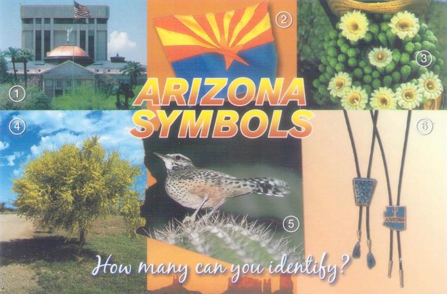 Arizona Symbols – Saguaro Cactus Bloom, and Palo Verde
