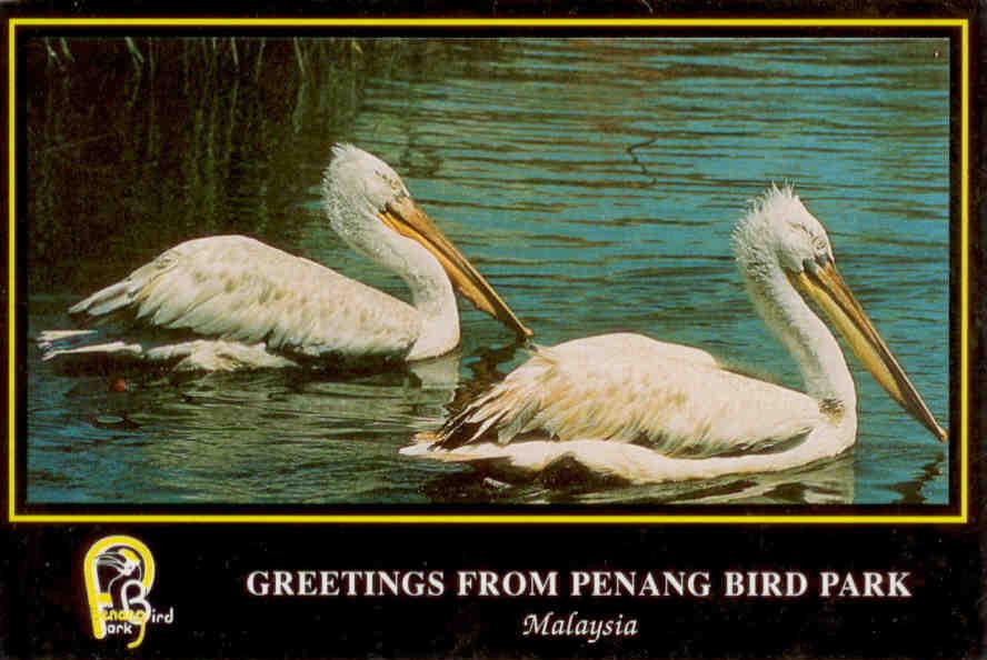 Greetings from Penang Bird Park (Malaysia)