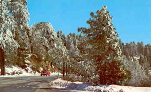 Greetings from San Bernardino Mountains