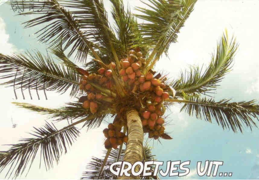 Groetjes uit … (Greetings from …) (Netherlands)