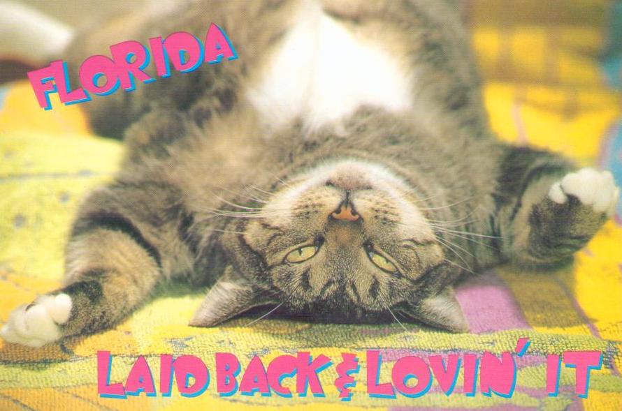 Greetings – Laid back & lovin’ it (Florida)