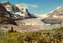 Athabasca Glacier, Jasper Nat. Park, Canada