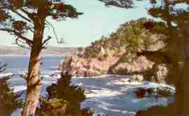 Point Lobos State Park (California, USA)