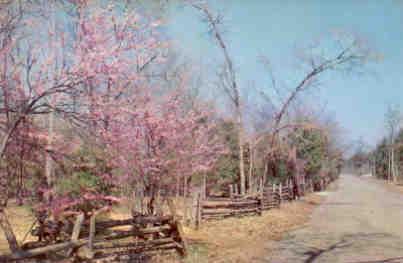 Cedars of Lebanon State Park (Tennessee)