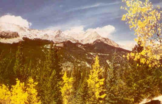 Rocky Mountain National Park, Never-Summer Range, aspens