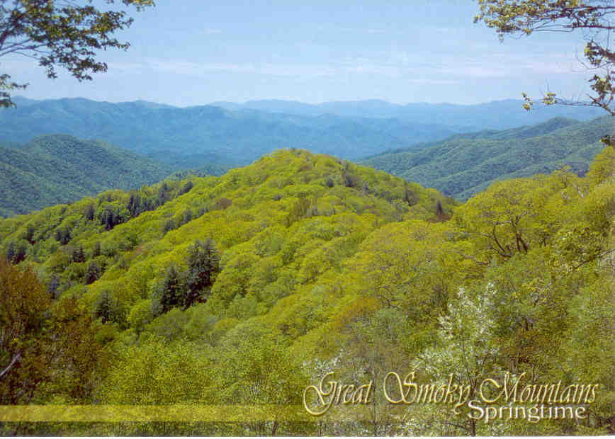 Great Smoky Mountains, Springtime (Tennessee)