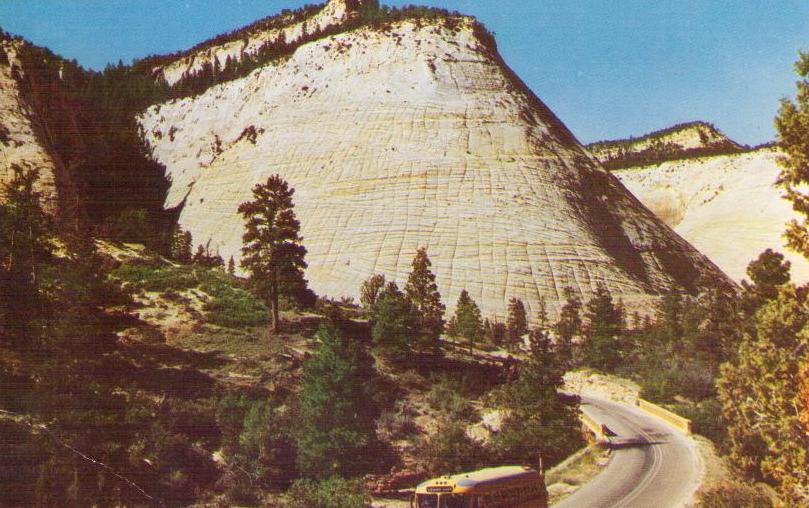 Zion National Park, Checkerboard Mesa (Utah, USA)