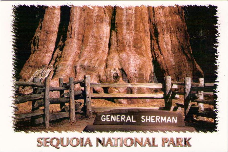 Sequoia National Park, General Sherman Tree (California)