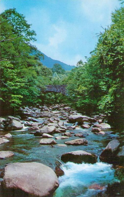 Great Smoky Mountains National Park, mountain stream (USA)