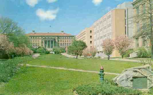 Univ. of Wisconsin, Coll. of Agriculture (Madison)